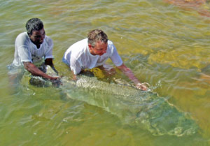Fish of a life time